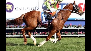 HEALTH STAKES-30AUG CAULFIELD