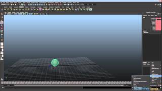 Setup and Basic Movement - Animation Wealth