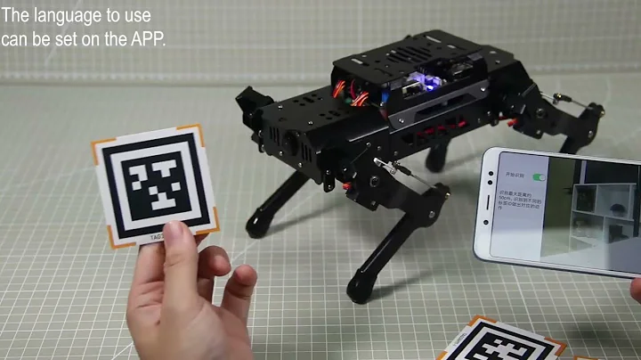 PuppyPi-Start AI Games via APP 3