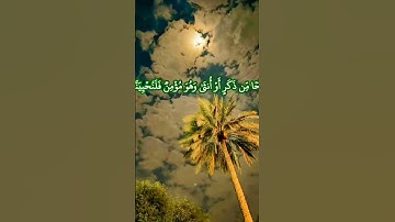 #عبدالباسط من عمل صالحا من ذكر أو أنثى وهو مؤمن فلنحيينه حياة طيبة #سورة_النحل