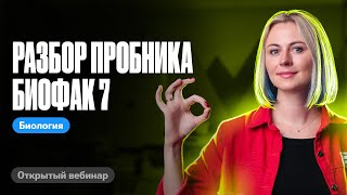 картинка: Разбор пробника № 7 Биофак | ЕГЭ по биологии | Ксения Напольская 100балльный репетитор