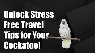 Unlock Stress-Free Travel: Essential Tips to Acclimate Your Cockatoo to a Carrier!