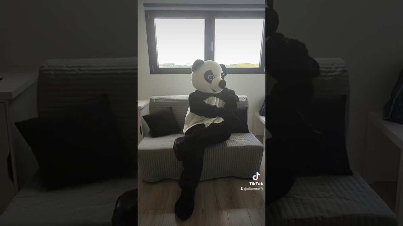 Boo le panda à toujours le chic pour nous faire rire 🎉🎊🐼