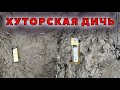 Дичь - медведь за забором и другие новости