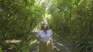 SOLD | 77 Kohekohe Road, Waikanae