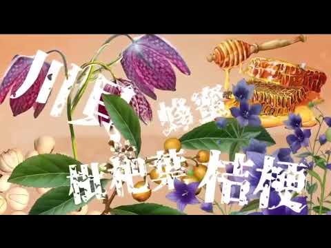 京都念慈菴川貝枇杷膏 演員：翁芸涵
