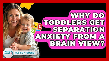Why Do Toddlers Get Separation Anxiety From A Brain View? - Raising A Toddler
