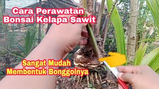 Bikin Bonsai Kelapa Sawit, Begini Cara Cetak Bonggolnya..