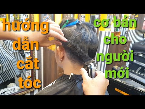 hướng dẫn cắt tóc cơ bản dễ nhất cho những bạn mới học nghề cắt tóc nam barber