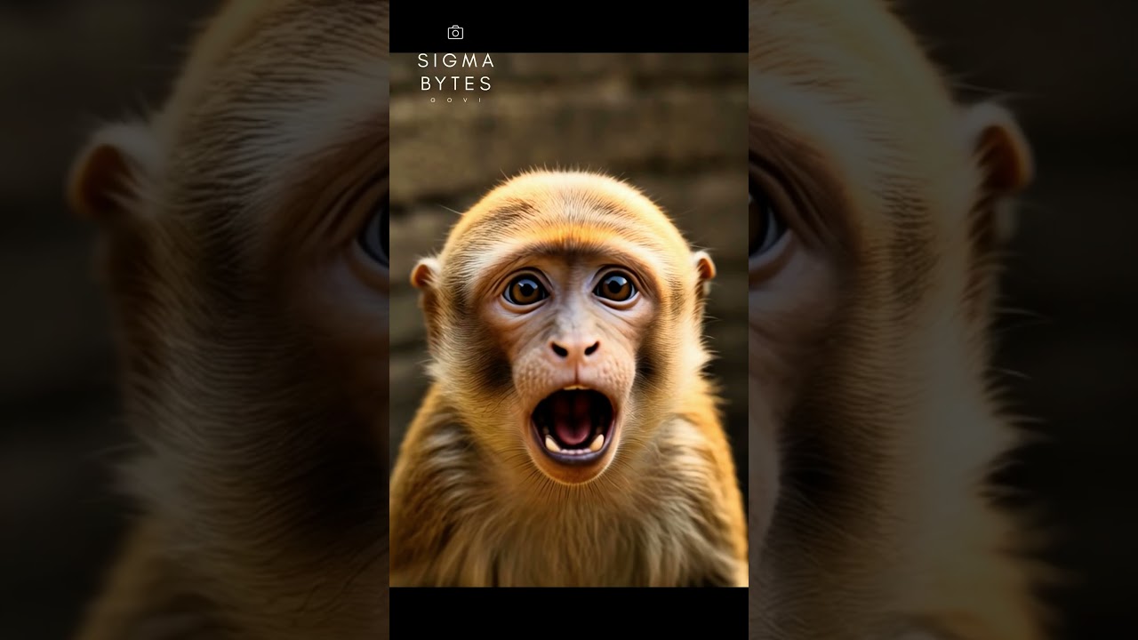 The Abandoned Well – A Story of Echoing Loneliness