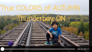 Fall in love in FALL Thunder Bay, On
