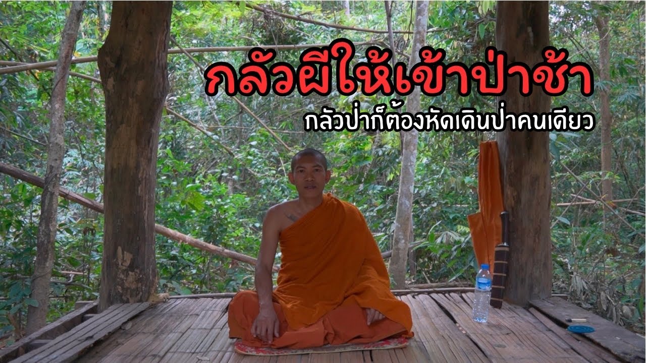 คนกลัวผีต้องรีบฟัง หลวงพี่ใช้วิธีนี้ในการอยู่คนเดียวในป่าช้าและป่าดงดิบ เสียงป่าสะอื้น