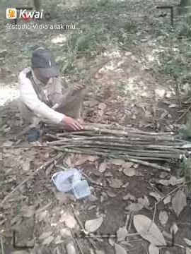 Perjuanggan seorang ayah mencari kayu demi ngais rezeki