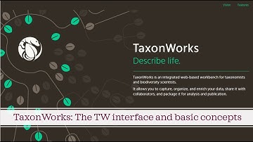 1 TaxonWorks - The User Interface