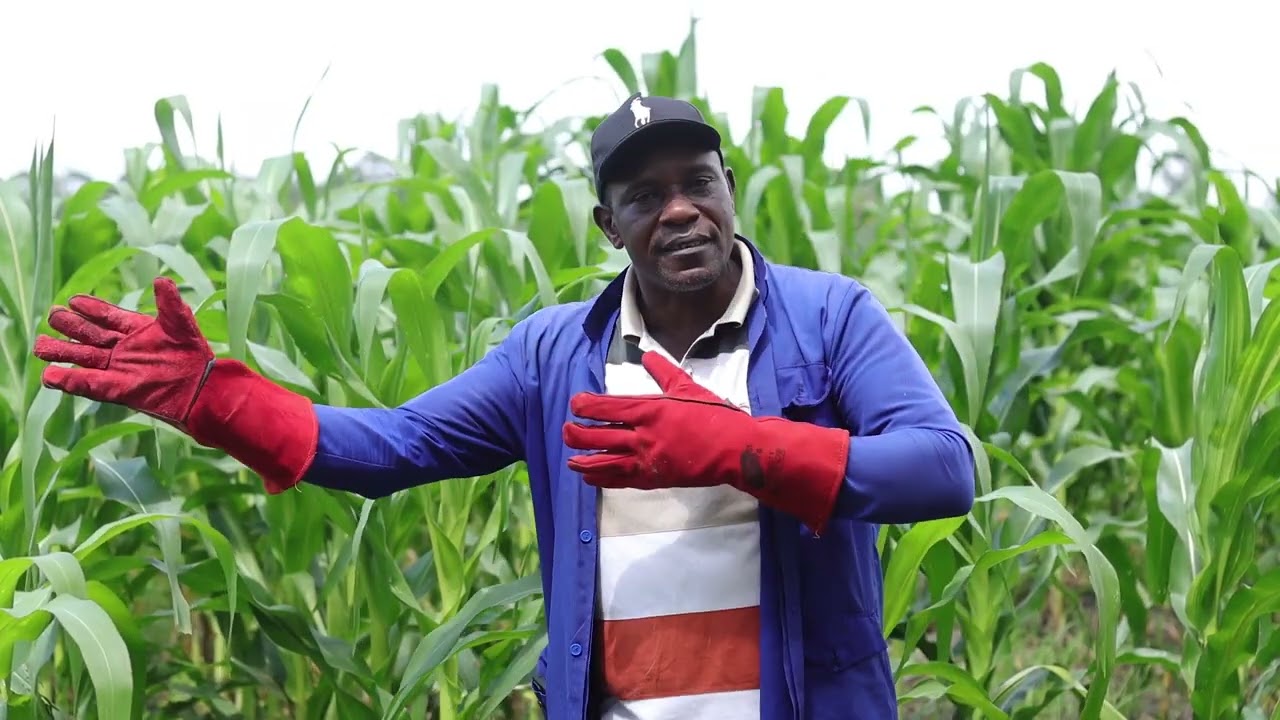 Growing wealth by buying and developing Marginal lands into farming