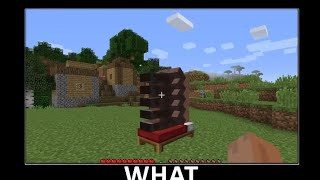 WAIT WHAT Minecraft #.52