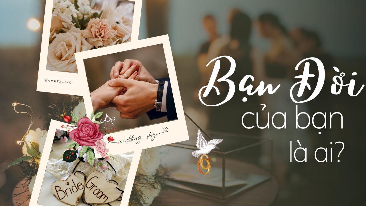 Chọn 1 tụ bài : Bạn đời tương lai của bạn là ai ?