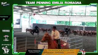 TEAM PENNING EMILIA ROMAGNA