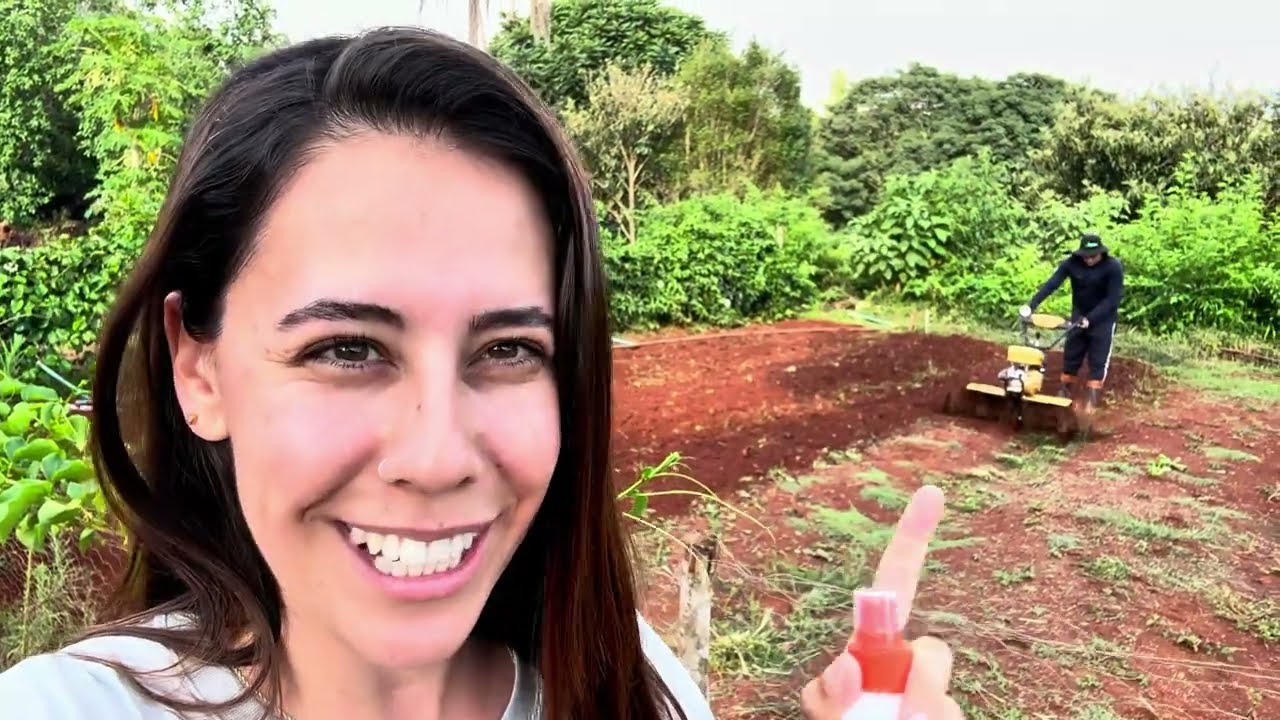 VALE A PENA UM TRATORITO/MOTOCULTIVADOR PARA HORTA?