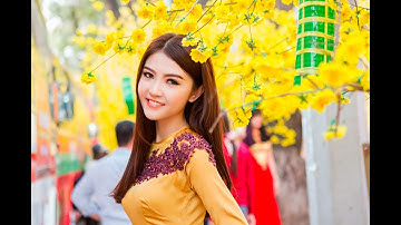 Liên Khúc Ngày Tết Quê Em - Nhạc Tết Đinh Dậu Hay Nhất 2017
