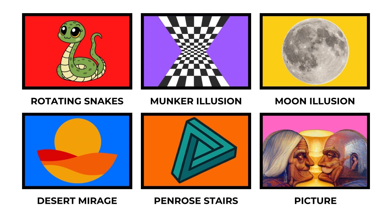 EVERY Optical Illusion That Tricks Your Brain | PAINT EXPLAINER