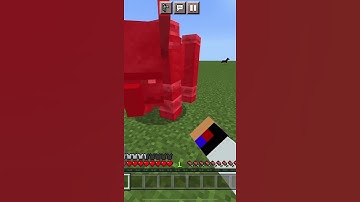 Which armor can save you from ravager? | Part 3 #minecraft