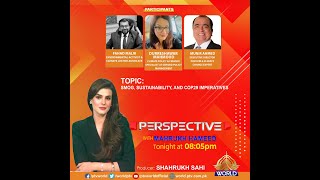 PERSPECTIVE | Pakistan's Climate Crisis: Smog, Sustainability and COP29 Imperatives | 10-11-2024
