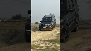 Scorpio Classic S11 ✅🐴##shortvideo #viralvideo #viralshorts #scorpios11 #blackhorse #trending