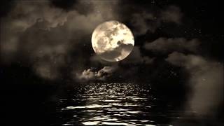 Watch Fire The Canon Conflicted video