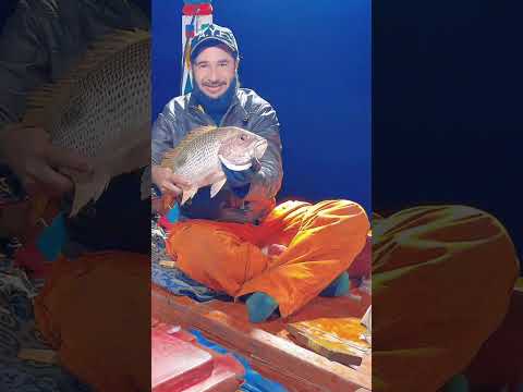 fishing video #fbreels #video 👉🔔👈