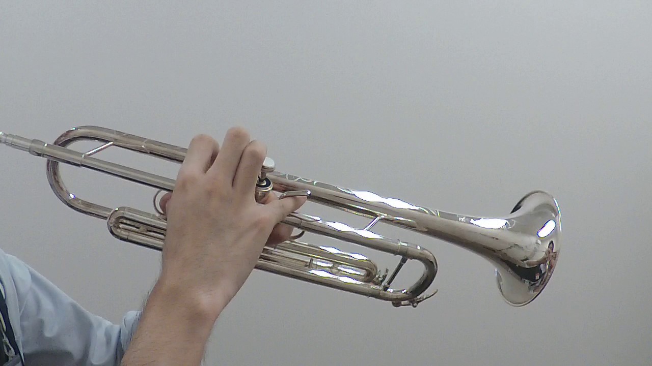 bach mt Vernon コルネットマウスピース 7c bach mt Vernon コルネットマウスピース 7c