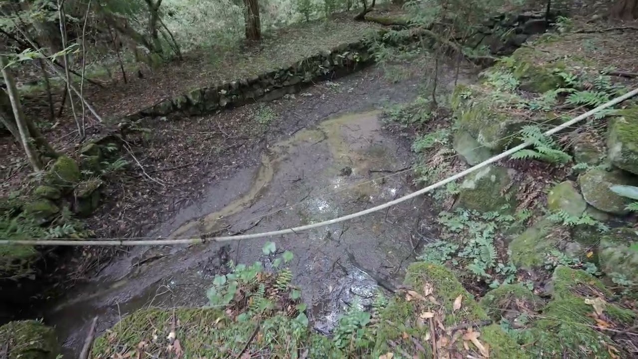 【期間限定配信】不気味な廃料亭　後編