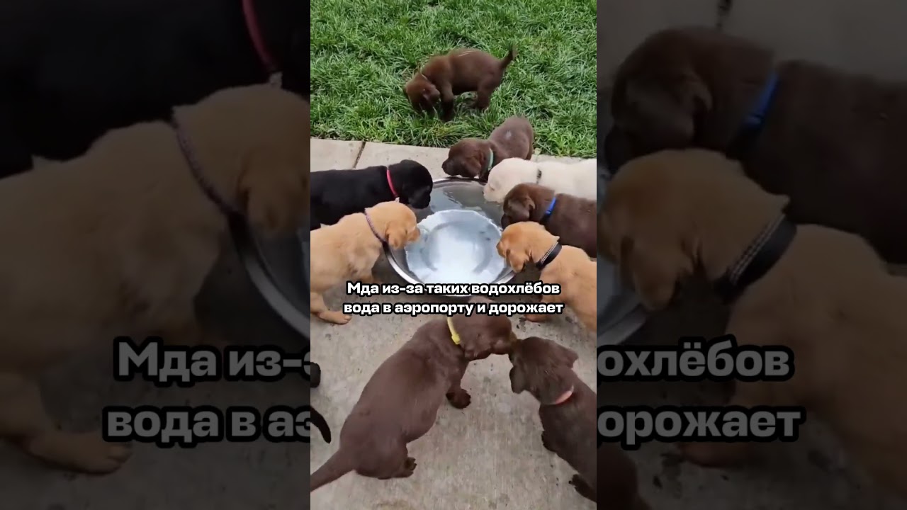 эгоисты… #путешествия