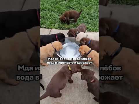 эгоисты… #путешествия