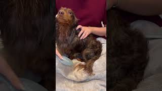 Should I post a part 2? 🧼