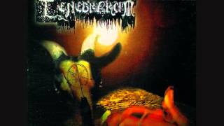 Tenebrarum (Mex) - Eternal Flames of the Bonfire