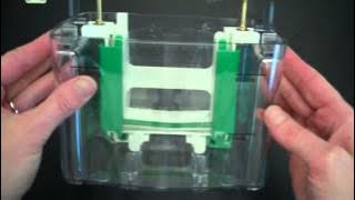 SDS PAGE Part 1 Assembly and Electrophoresis