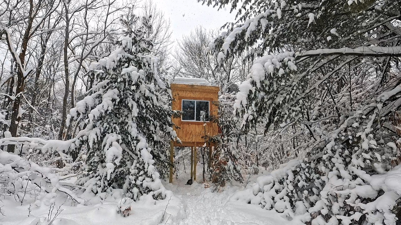 TINY Tower Cabin Build Deep in the Woods