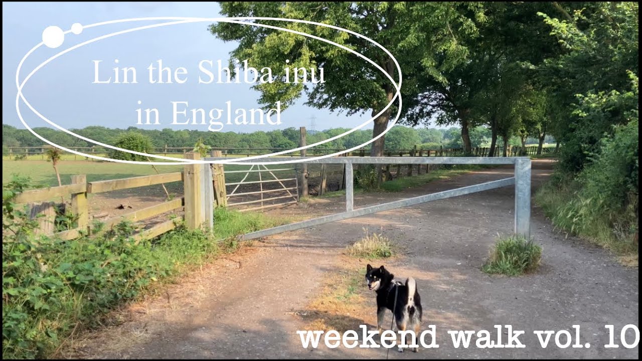 Weekend Walk weekend walk vol.10 - YouTube