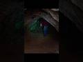Time Moves DIFFERENT Here! 😱 Cave vs Outside World in Time Trap (2017) ⏳🌌#shorts