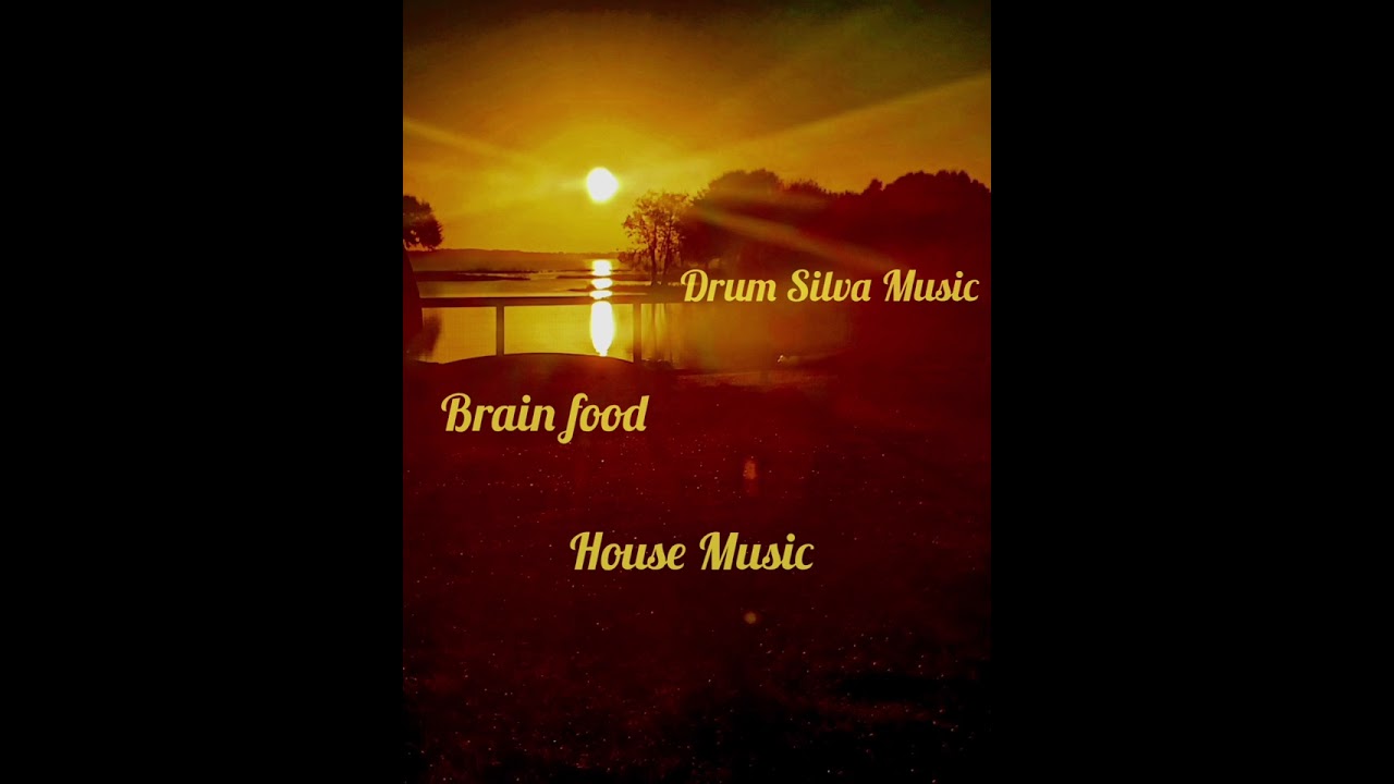 House Music...Drum Silva...Brain Food