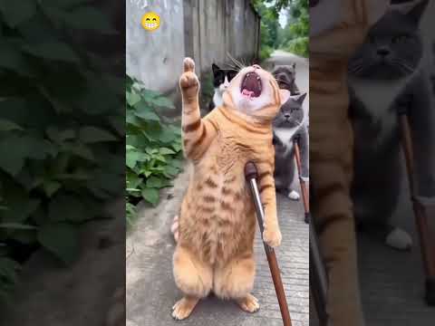 Bu Nasıl oluyor ya 😀 #funny #comedy thumbnail