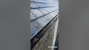 Do gutter guards work?