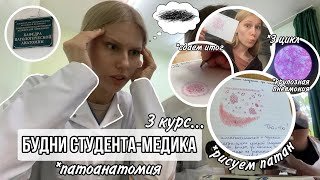 Влог: будни студента-медика // цикл и ИТОГ по патоанатомии // рисунки, микропрепараты // 3 курс...