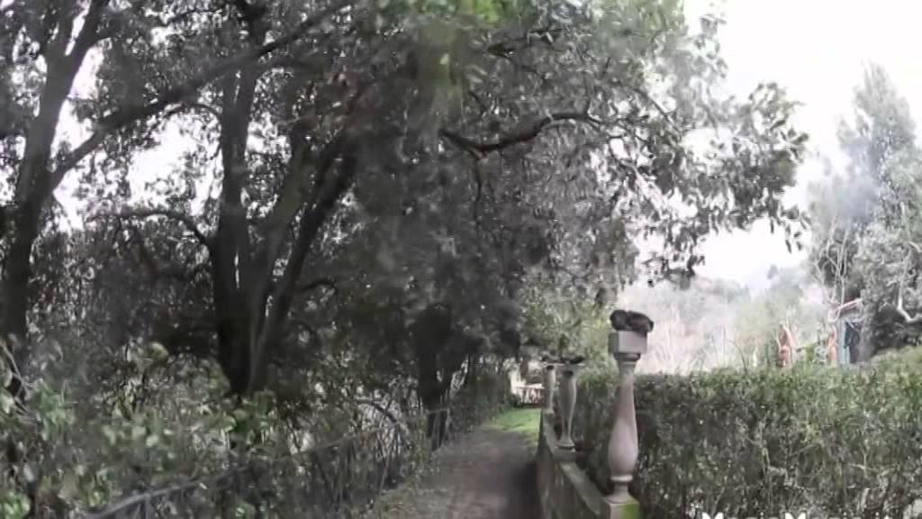 Dr. Münir Derman tasavvuf sohbeti