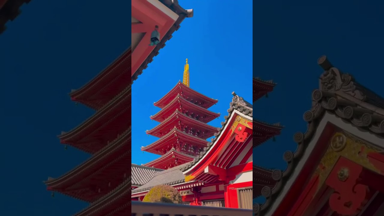 A slice of japan 🇯🇵 