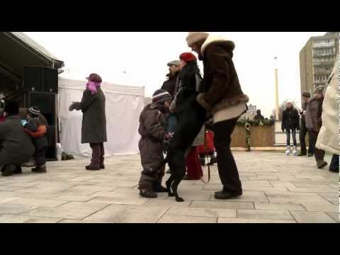 Videó: Táncoló Kutya Tanítása Tánc A Kutyájával