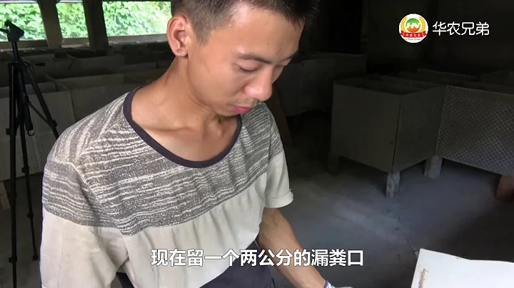 华农兄弟：农村小伙教你这样建竹鼠池，不仅成本较低，打扫卫生也比较方便 - 天天要闻