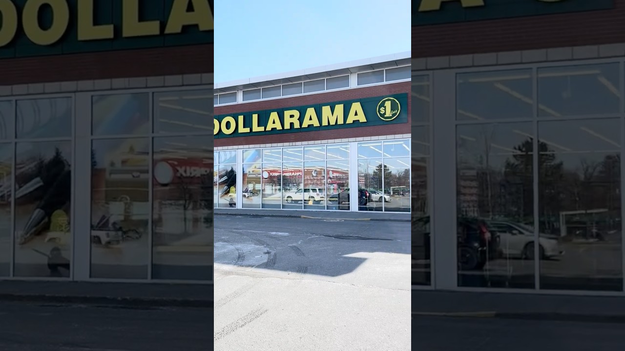 Dollarama best finds 2025 