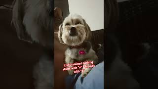 Does anyone know what word? #viral  #nothing #question